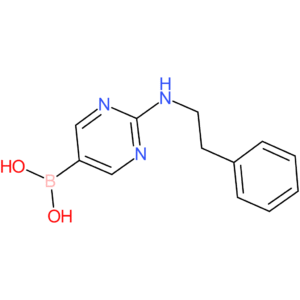 (2-[(2-phenylethyl)amino]pyrimidin-5-yl)boronic acid