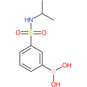 n-isopropyl 3-boronobenzenesulfonamide