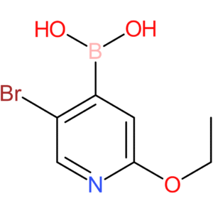 5-bromo-2-ethoxypyridine-4-boronic acid