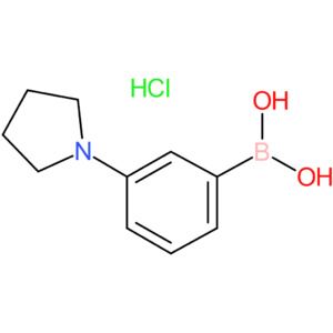 3-(1-pyrrolidino)phenylboronic acid hcl
