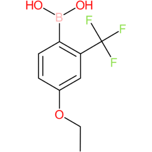 4-ethoxy-2-(trifluoromethyl)phenylboronic acid
