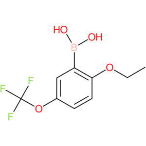 2-ethoxy-5-(trifluoromethoxy)benzeneboronic acid