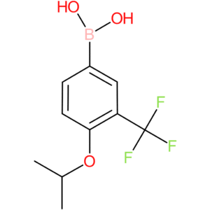 4-isopropoxy-3-(trifluoromethyl)benzeneboronic acid