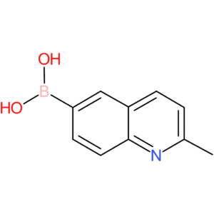 (2-methyl-6-quinolinyl)boronic acid
