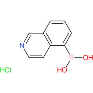 isoquinolin-5-ylboronic acid hydrochloride
