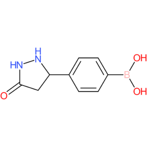 4-(5-oxopyrazolidin-3-yl)phenylboronic acid