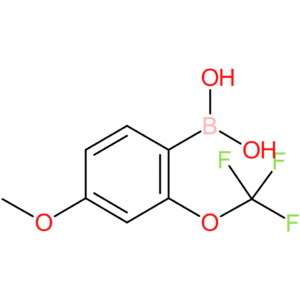 4-methoxy-2-(trifluoromethoxy)phenylboronic acid