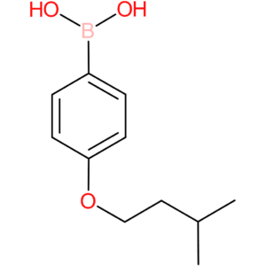 4-(isopentyloxy)phenylboronic acid