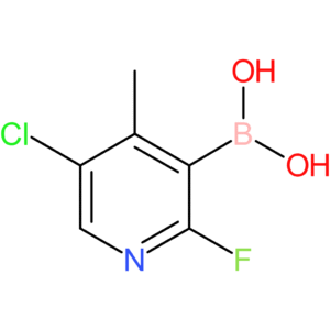 (5-chloro-2-fluoro-4-methylpyridin-3-yl)boronic acid
