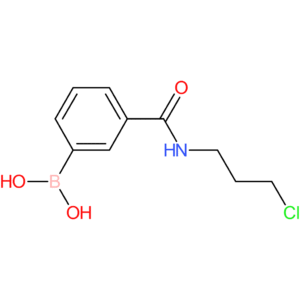(3-((3-chloropropyl)carbamoyl)phenyl)boronic acid