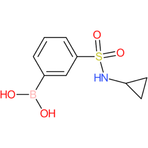 (3-(n-cyclopropylsulfamoyl)phenyl)boronic acid