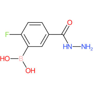 3-borono-4-fluorobenzohydrazide