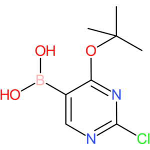 4-tert-butoxy-2-chloropyrimidin-5-ylboronic acid