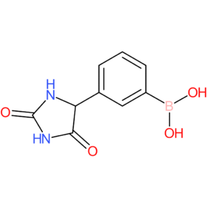 3-(2,5-dioxoimidazolidin-4-yl)phenylboronic acid