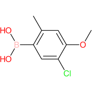 5-chloro-4-methoxy-2-methylphenylboronic acid