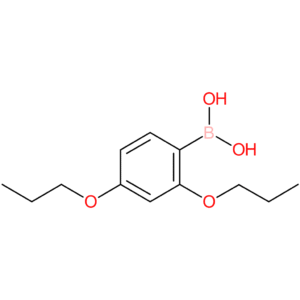 2,4-dipropoxyphenylboronic acid