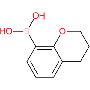 chroman-8-boronic acid