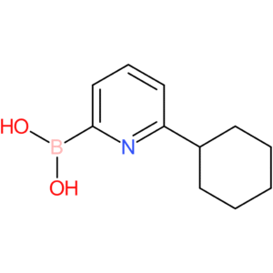 (6-cyclohexylpyridin-2-yl)boronic acid