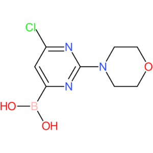 2-morpholino-6-chloropyrimidine-4-boronic acid