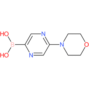 5-morpholinopyrazine-2-boronic acid