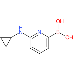(6-(cyclopropylamino)pyridin-2-yl)boronic acid