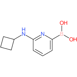 (6-(cyclobutylamino)pyridin-2-yl)boronic acid