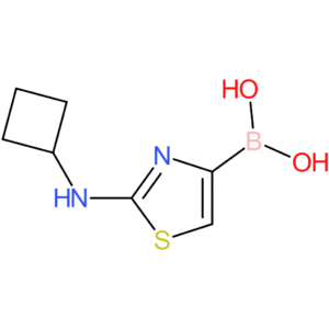 2-(cyclobutylamino)thiazolE-4-boronic acid