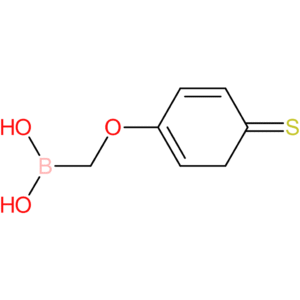 ([(4-sulfanylidenecyclohexa-1,5-dien-1-yl)oxy]methyl)boronic acid