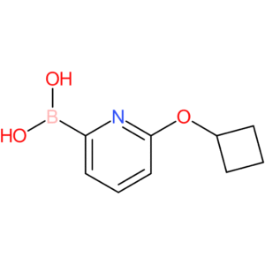 (6-cyclobutoxypyridin-2-yl)boronic acid