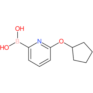 (6-(cyclopentyloxy)pyridin-2-yl)boronic acid