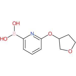 6-(tetrahydro-furan-3-yloxy)pyridine-2-boronic acid