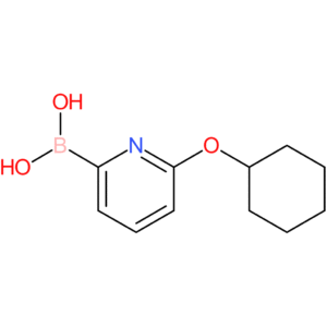 (6-(cyclohexyloxy)pyridin-2-yl)boronic acid
