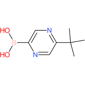 5-(tert-butyl)pyrazine-2-boronic acid