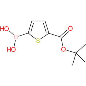 5-tert-butoxycarbonylthiophene-2-boronic acid