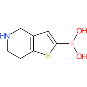 4,5,6,7-tetrahydrothieno[3,2-c]pyridin-2-ylboronic acid