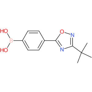 4-(3-tert-butyl-1,2,4-oxadiazol-5-yl)phenylboronic acid