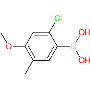 2-chloro-4-methoxy-5-methyl-benzeneboronic acid