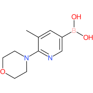 (5-methyl-6-morpholinopyridin-3-yl)boronic acid