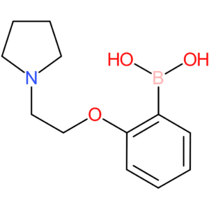 2-(2-pyrrolidin-1-yl-ethoxy)-phenylboronic acid
