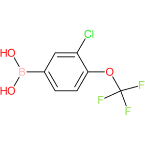 3-chloro-4-(trifluoromethoxy)phenylboronic acid