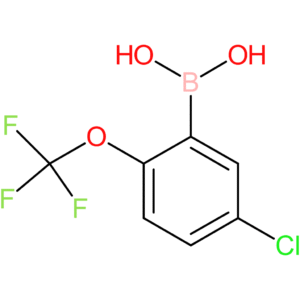 5-chloro-2-(trifluoromethoxy)phenylboronic acid