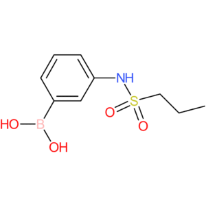 3-(propylsulfonamido)phenylboronic acid