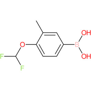 4-difluoromethoxy-3-methyl-benzeneboronic acid