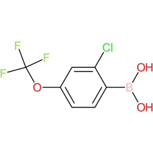 2-chloro-4-trifluoromethoxyphenylboronic acid