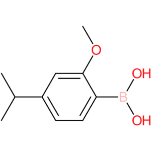 [2-methoxy-4-(propan-2-yl)phenyl]boronic acid