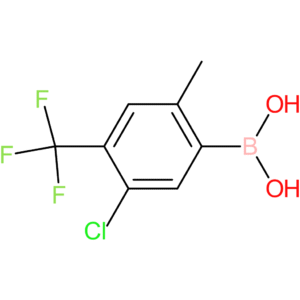 5-chloro-2-methyl-4-(trifluoromethyl)phenylboronic acid
