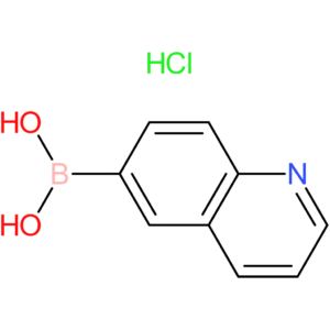 quinoline-6-boronic acid hydrochloride