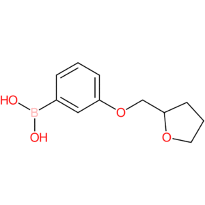 3-(oxolan-2-ylmethoxy)phenylboronic acid