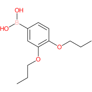 (3,4-dipropoxyphenyl)boronic acid
