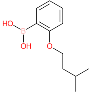 [2-(3-methylbutoxy)phenyl]boronic acid